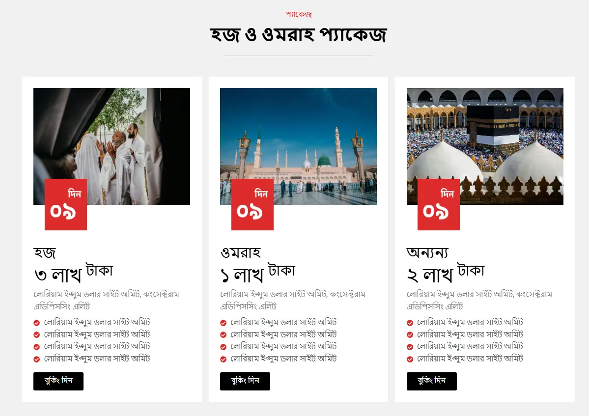সেকশন ০৩ — সাফা প্রিমিয়াম ডিজাইন প্রিভিউ