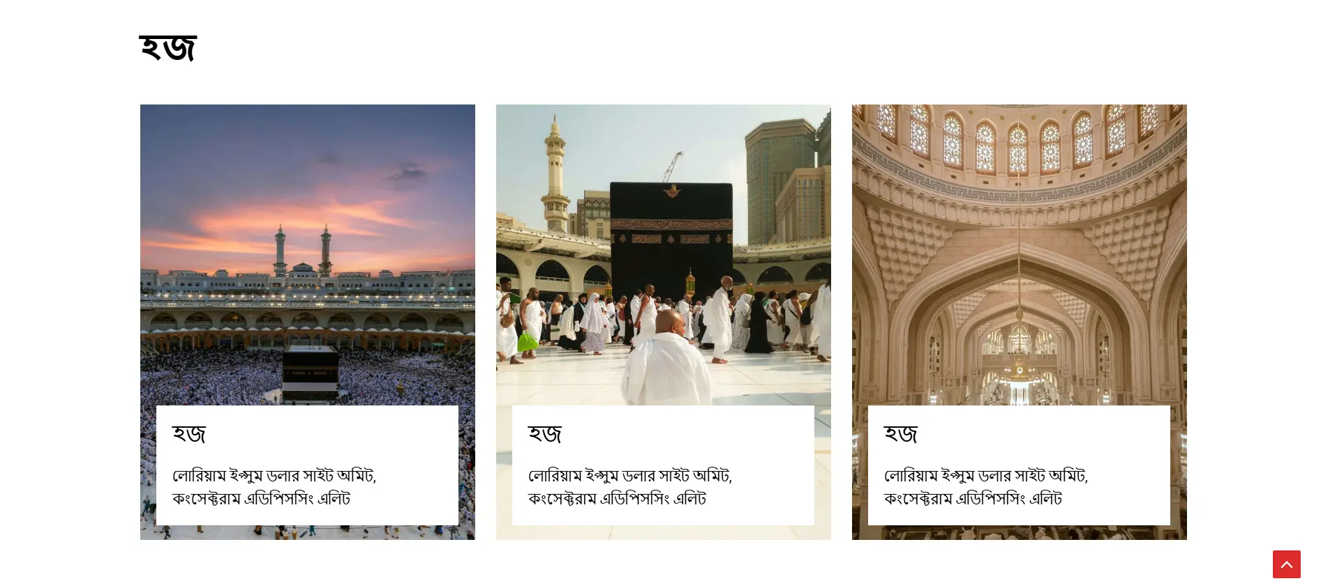 সেকশন ০৪ — হেরা মডার্ন ডিজাইন প্রিভিউ